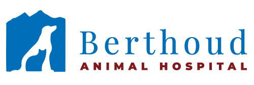 Berthoud logo