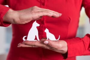 navigating pet insurance