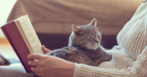 cat laying on person's lap while they read a book