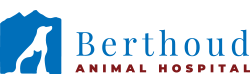 Berthoud logo